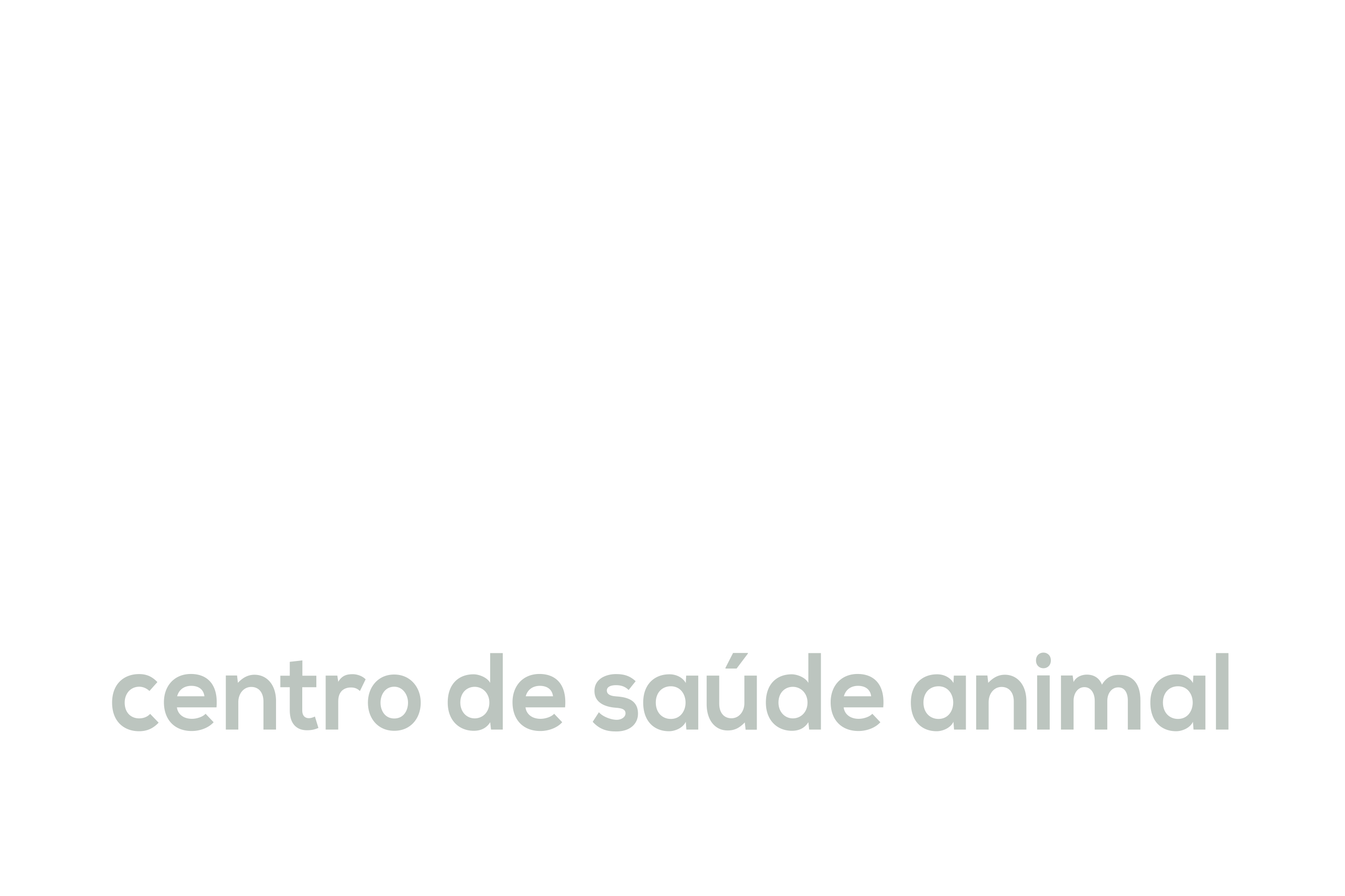 Logo Vet Mais